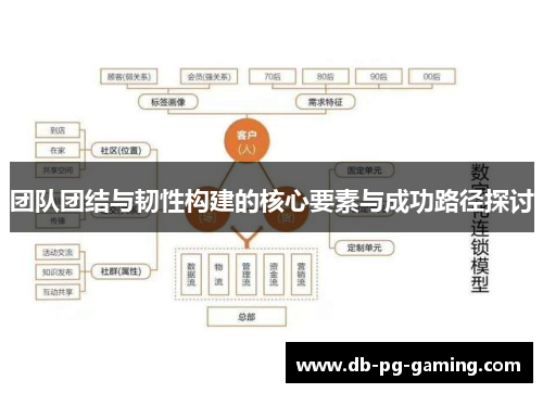 团队团结与韧性构建的核心要素与成功路径探讨
