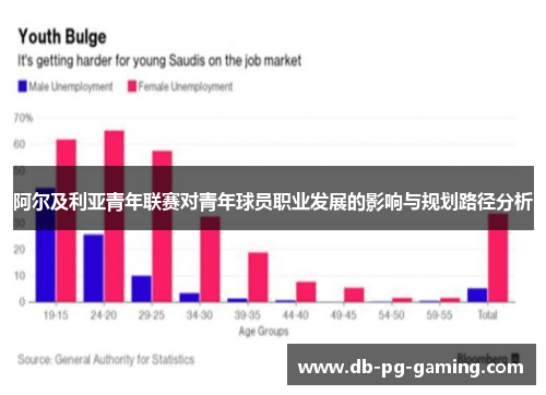 阿尔及利亚青年联赛对青年球员职业发展的影响与规划路径分析