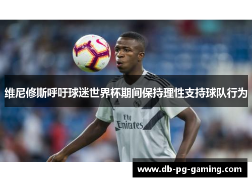 维尼修斯呼吁球迷世界杯期间保持理性支持球队行为